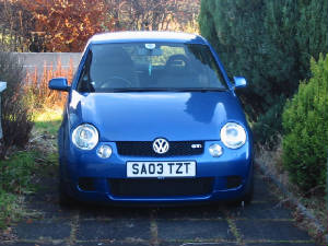 lupo3.jpg